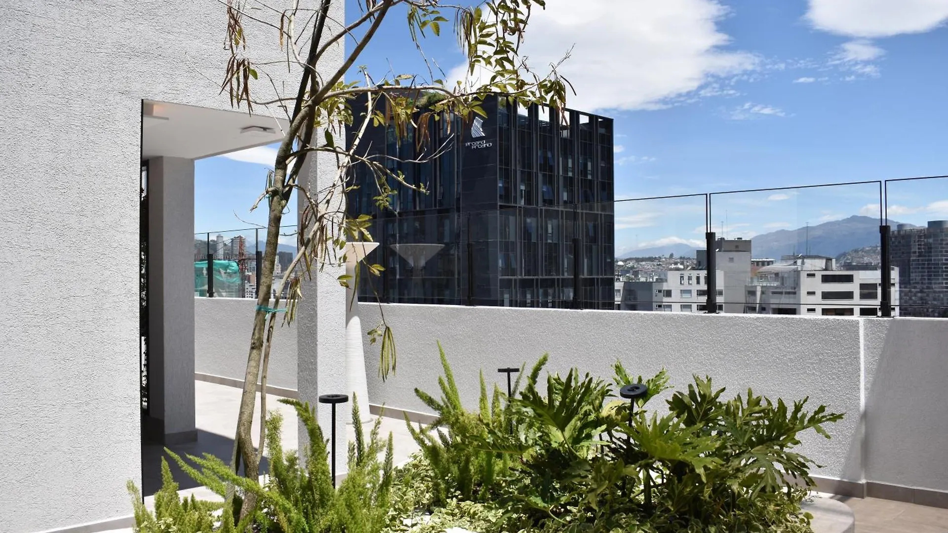 Apartment Harmony Stays Quito Ecuador